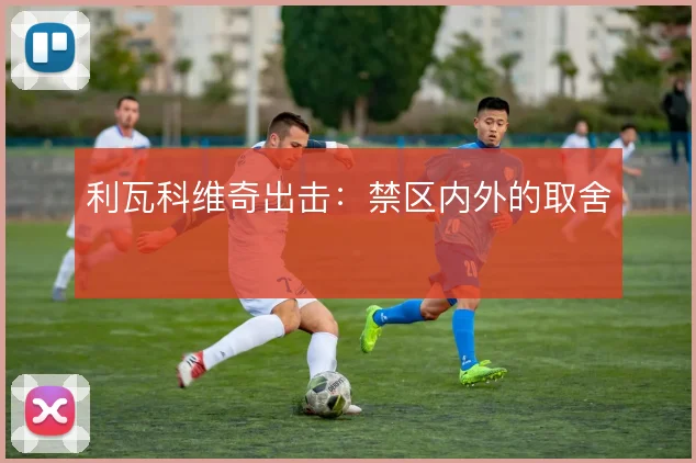利瓦科维奇出击：禁区内外的取舍